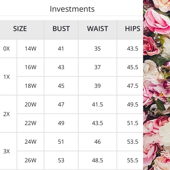 Investments Ivory Lace Plus Top Size 2X - Picture 7 of 7